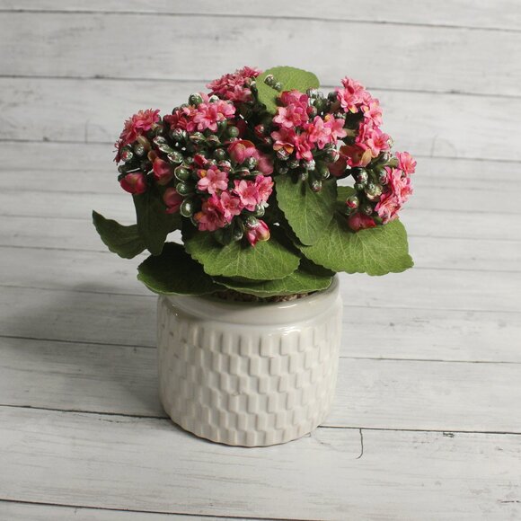 Pink Kalanchoe Artificial Silk Floral Arrangement Potted Flowers Ceramic Pot - Picture 1 of 7